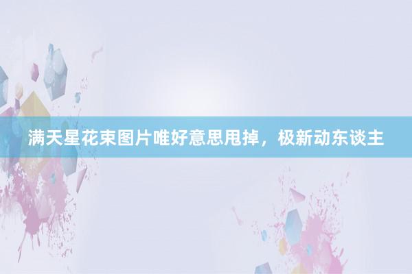 满天星花束图片唯好意思甩掉，极新动东谈主