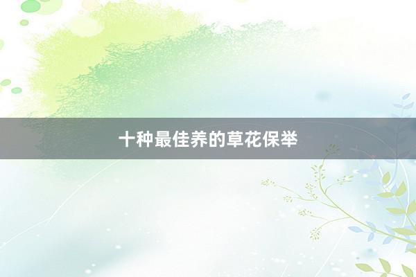 十种最佳养的草花保举